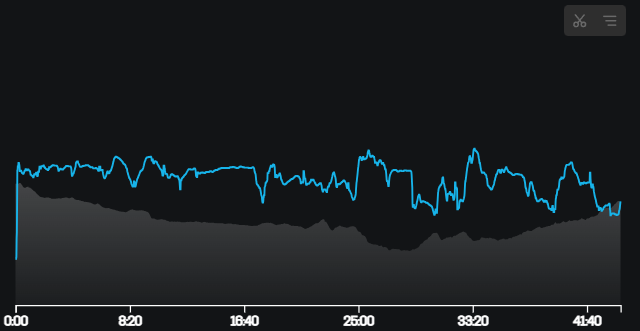 Pace Verlauf GA-Lauf